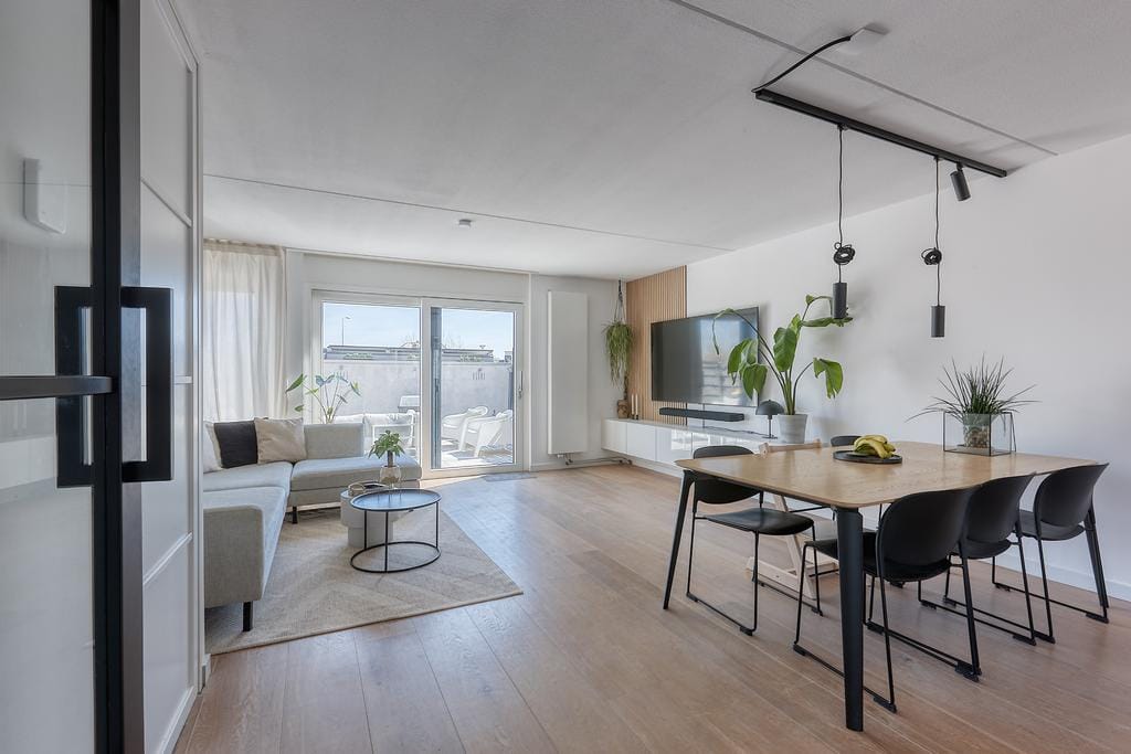 Photo 5 of Bromelia 4