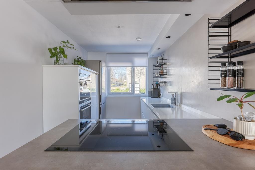 Photo 6 of Bromelia 4