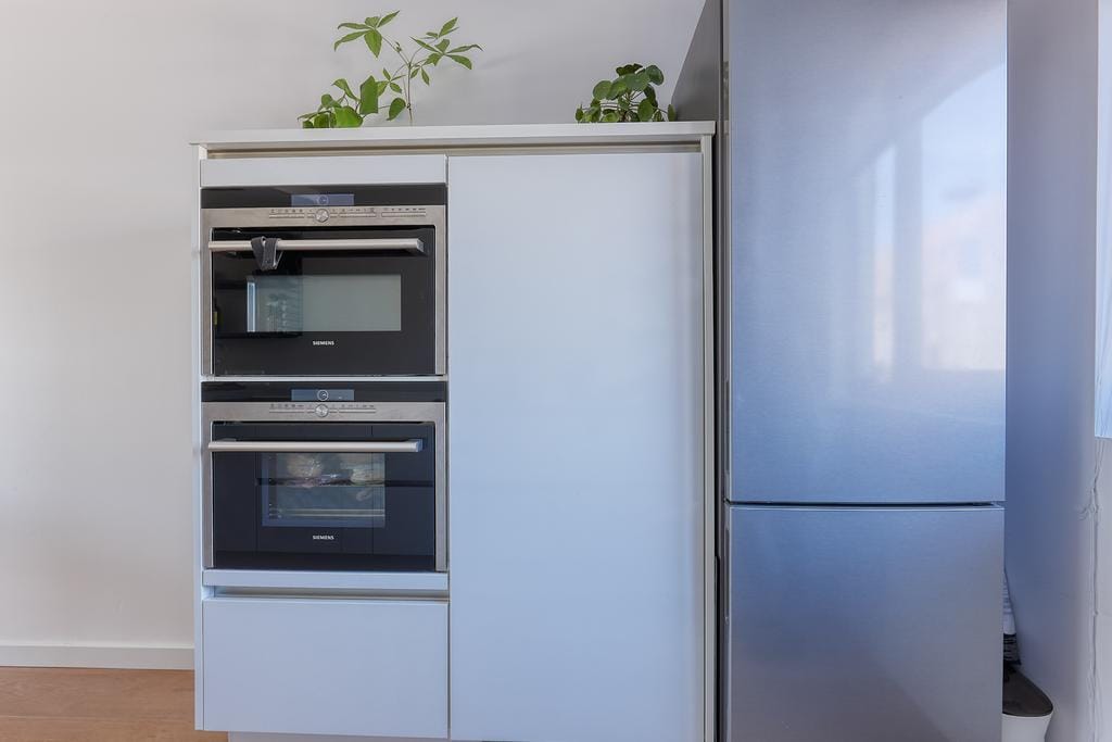 Photo 8 of Bromelia 4