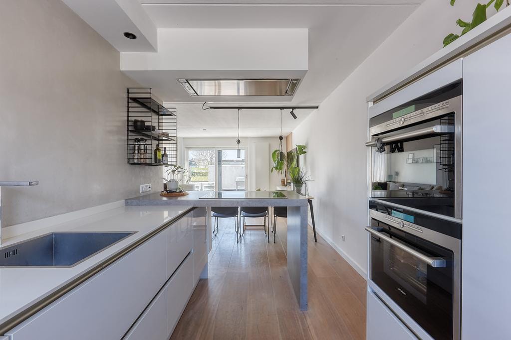 Photo 9 of Bromelia 4