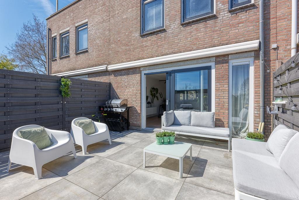 Photo 10 of Bromelia 4