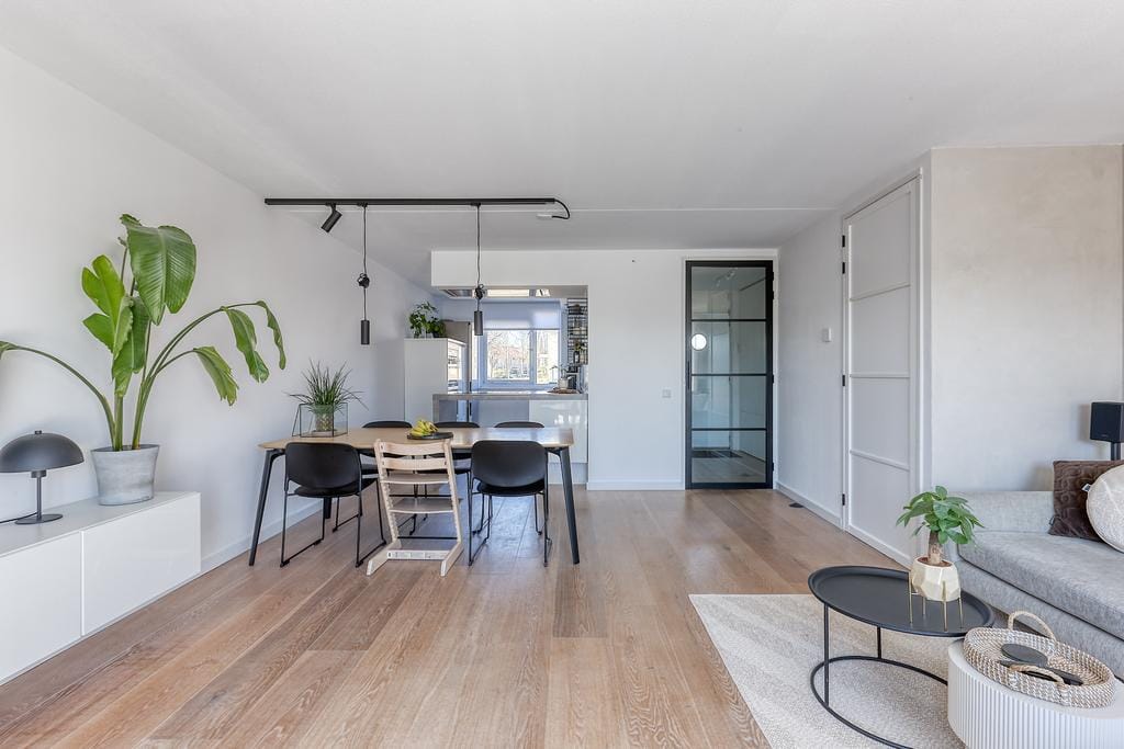 Photo 13 of Bromelia 4