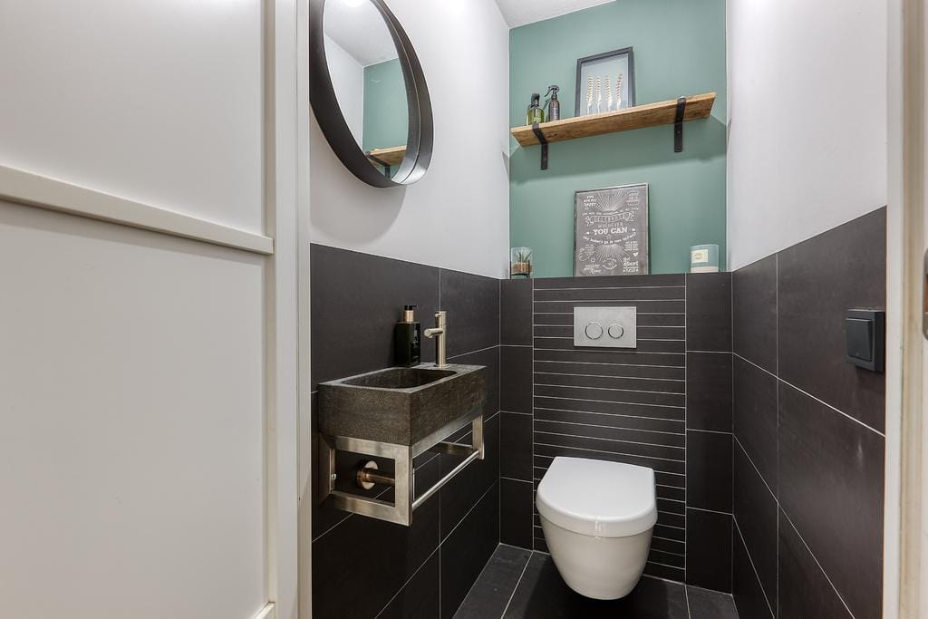 Photo 16 of Bromelia 4