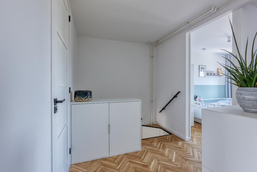 Photo 17 of Bromelia 4