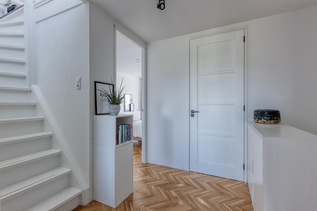 Photo 18 of Bromelia 4