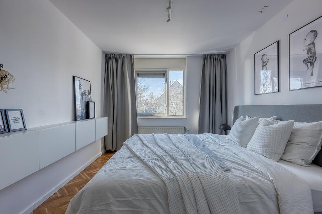 Photo 19 of Bromelia 4