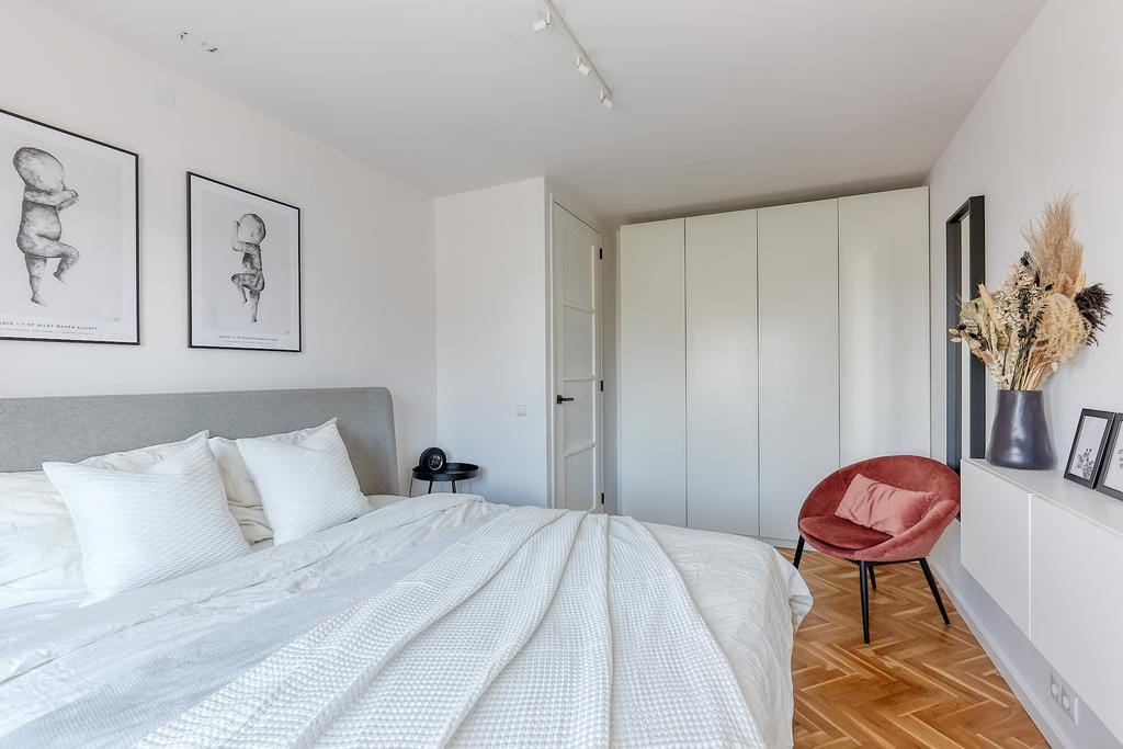 Photo 20 of Bromelia 4