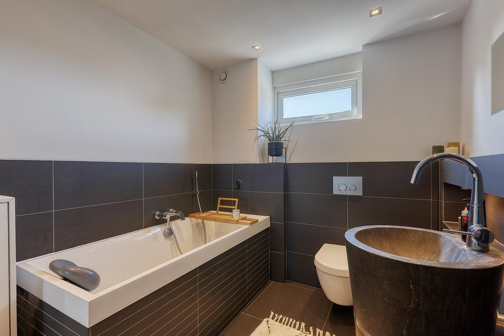 Photo 24 of Bromelia 4