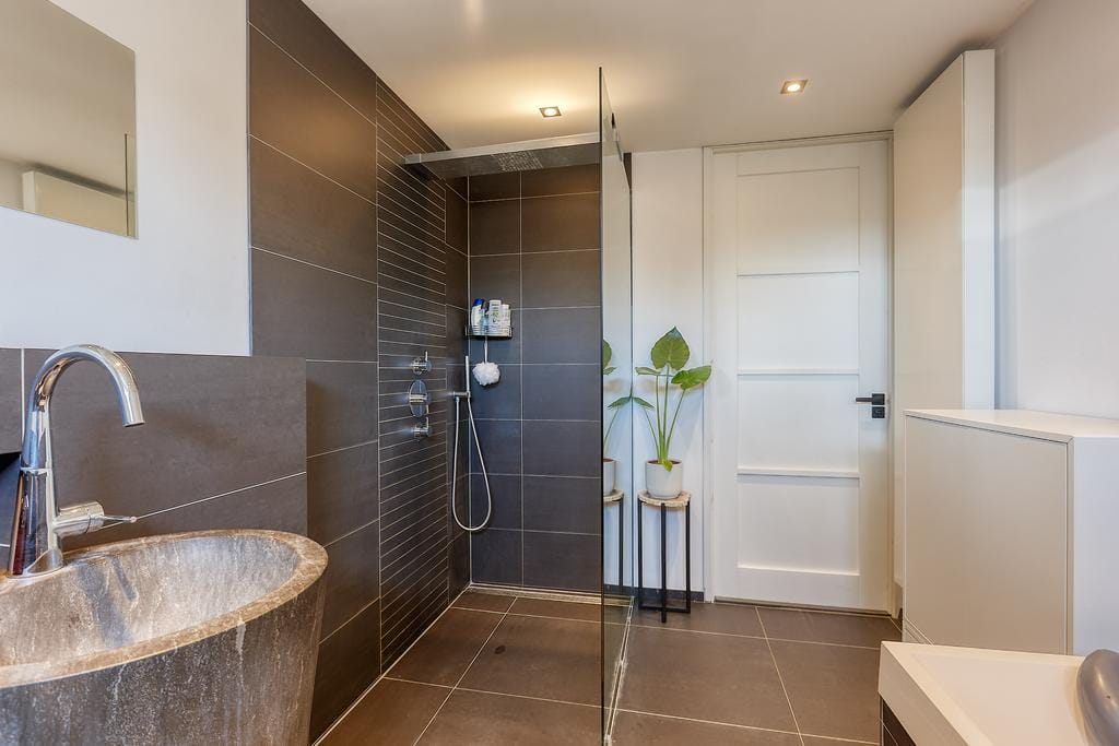 Photo 25 of Bromelia 4