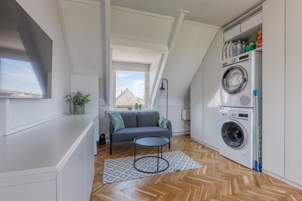 Photo 30 of Bromelia 4