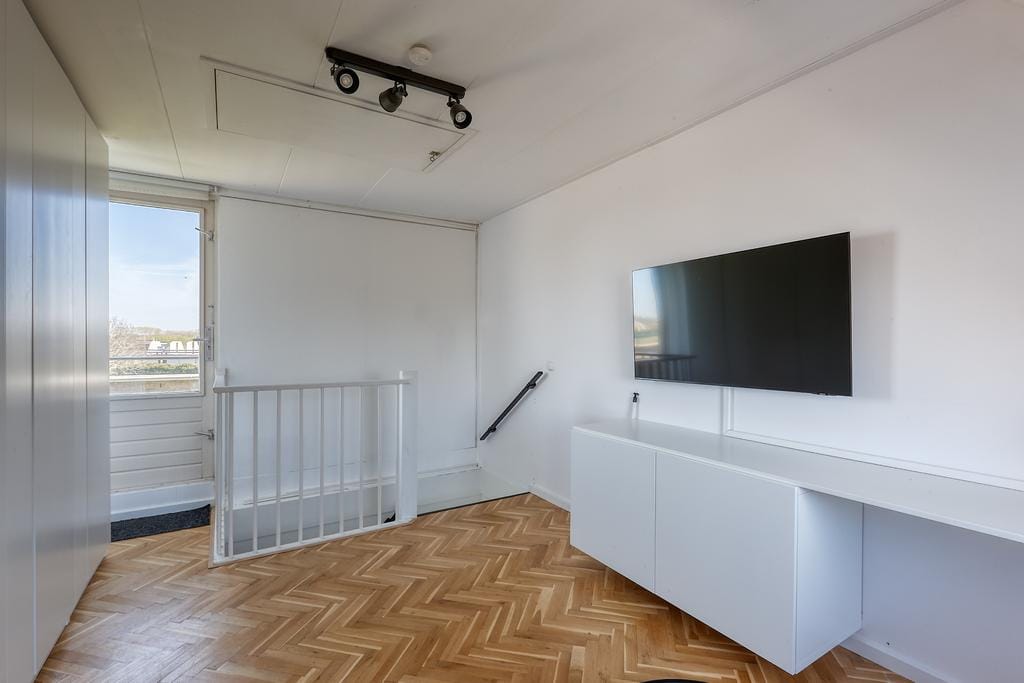 Photo 31 of Bromelia 4