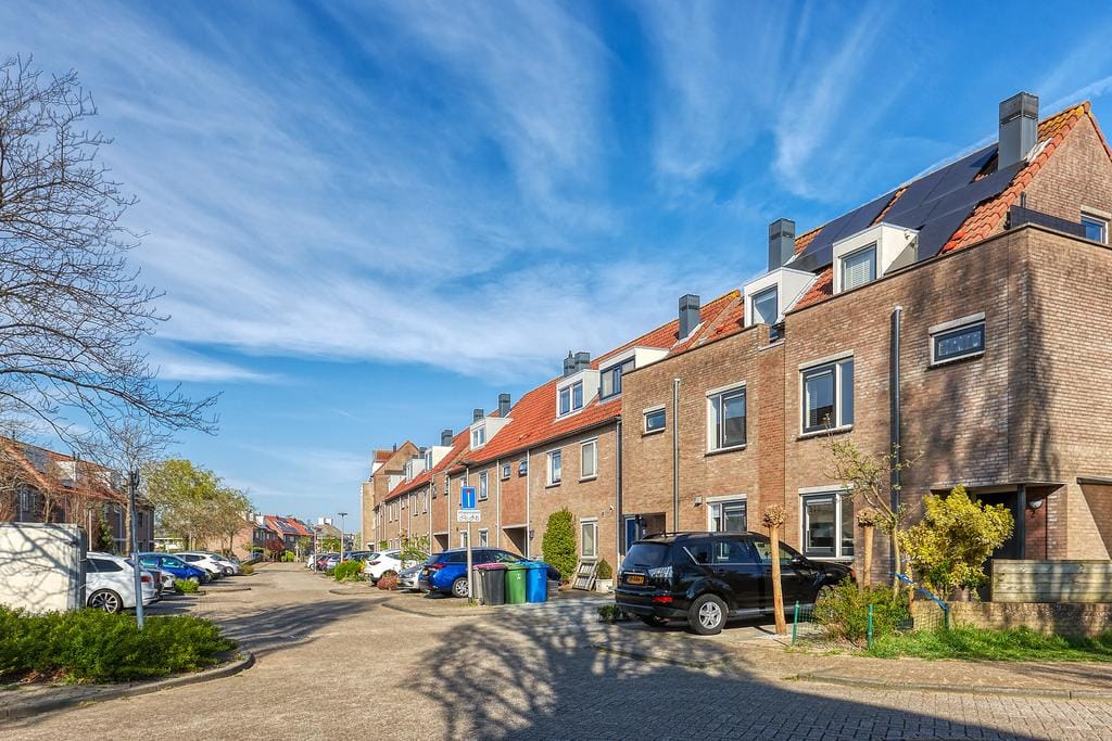 Photo 37 of Bromelia 4