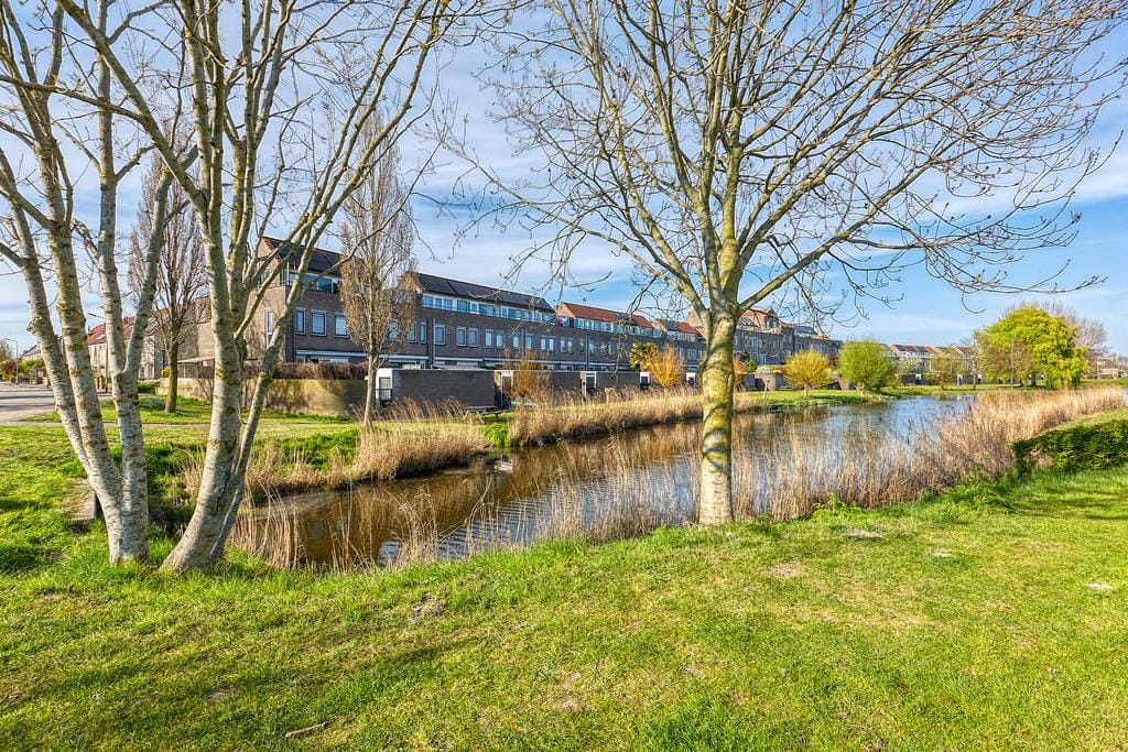 Photo 41 of Bromelia 4