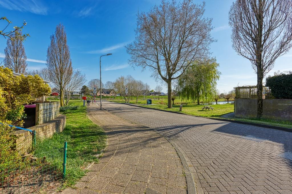 Photo 42 of Bromelia 4