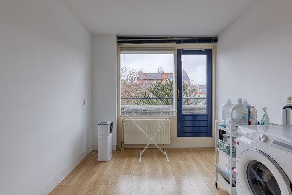 Foto 24 van Anemoon 8