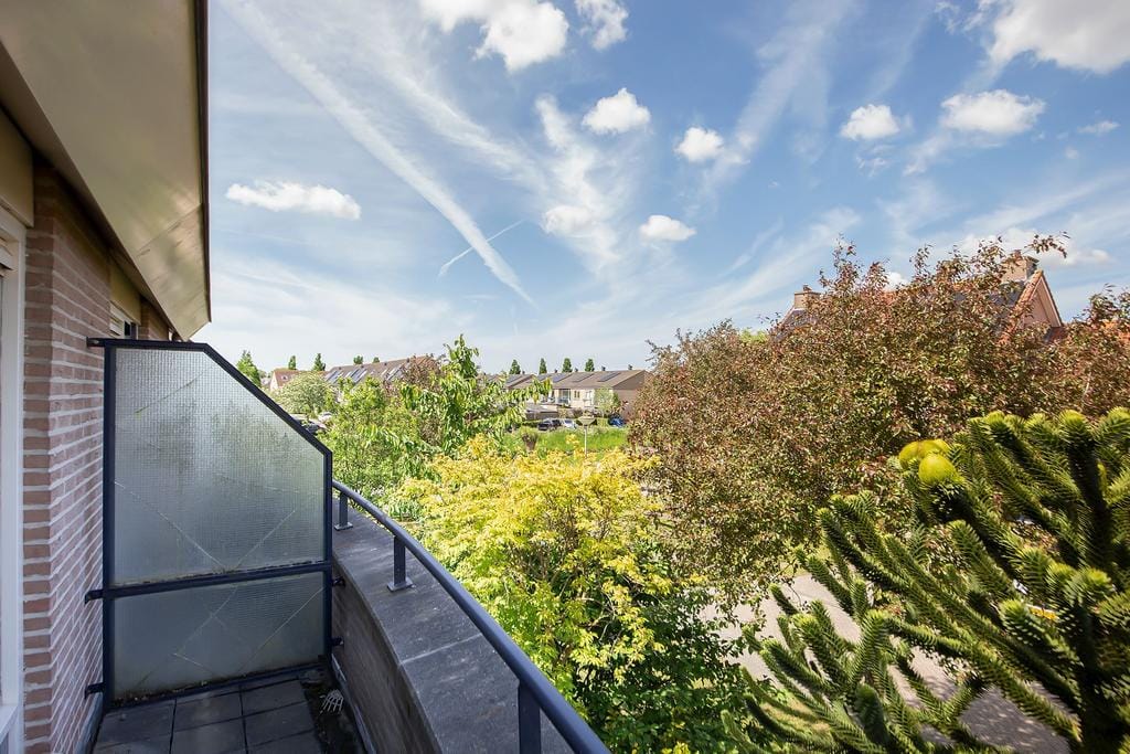 Foto 25 van Anemoon 8