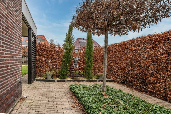 Foto 37 van Aronskelk 6