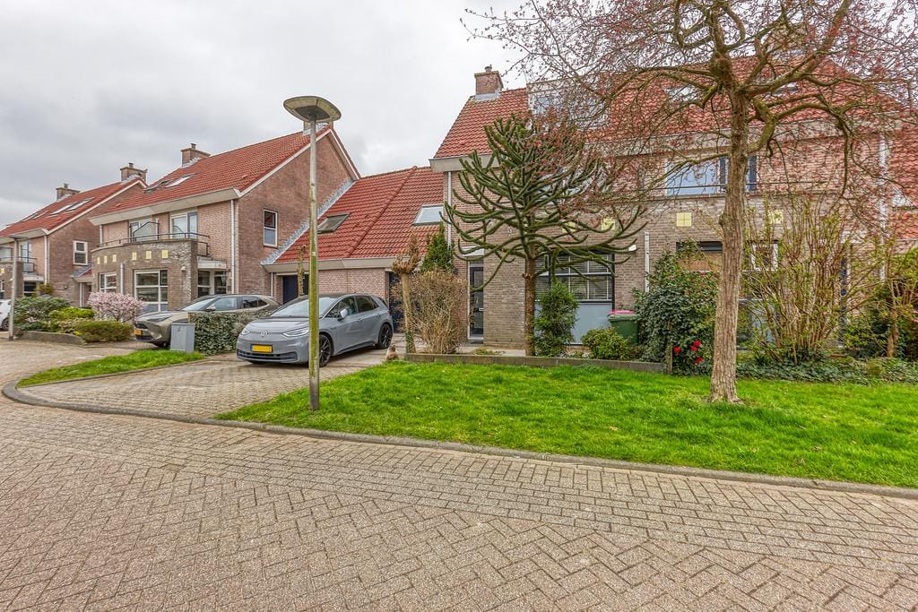 Foto 39 van Anemoon 8