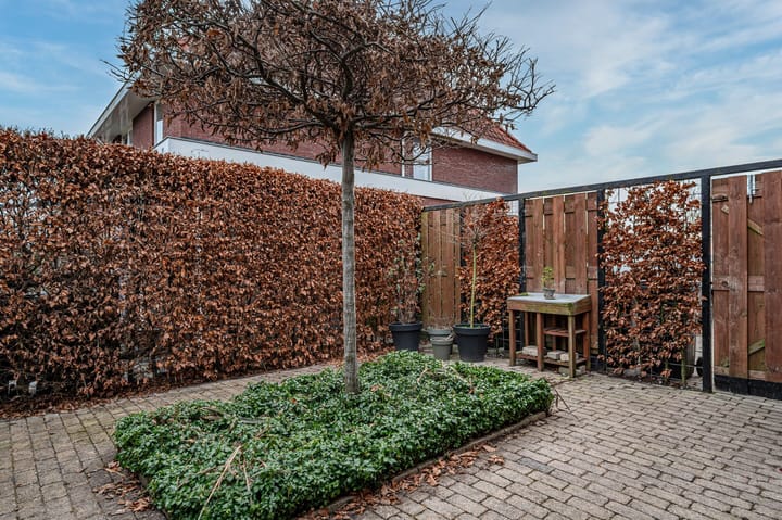 Foto 38 van Aronskelk 6