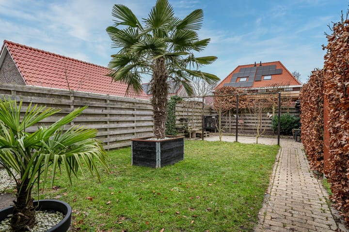 Foto 40 van Aronskelk 6