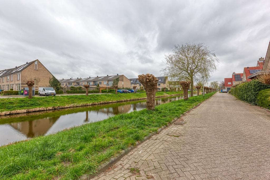 Foto 46 van Anemoon 8