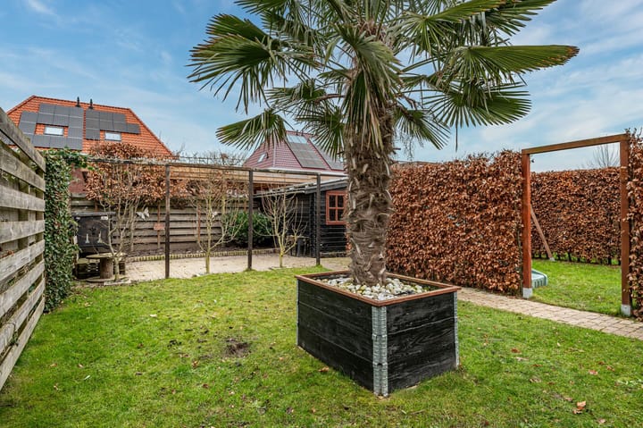 Foto 41 van Aronskelk 6