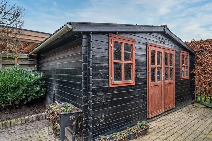 Foto 43 van Aronskelk 6