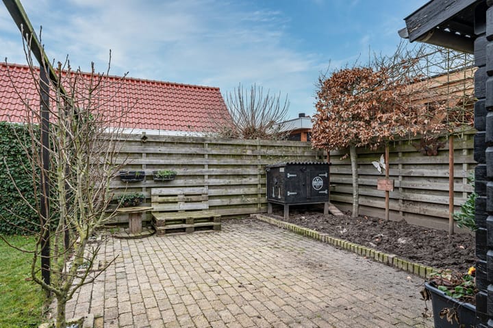 Foto 44 van Aronskelk 6