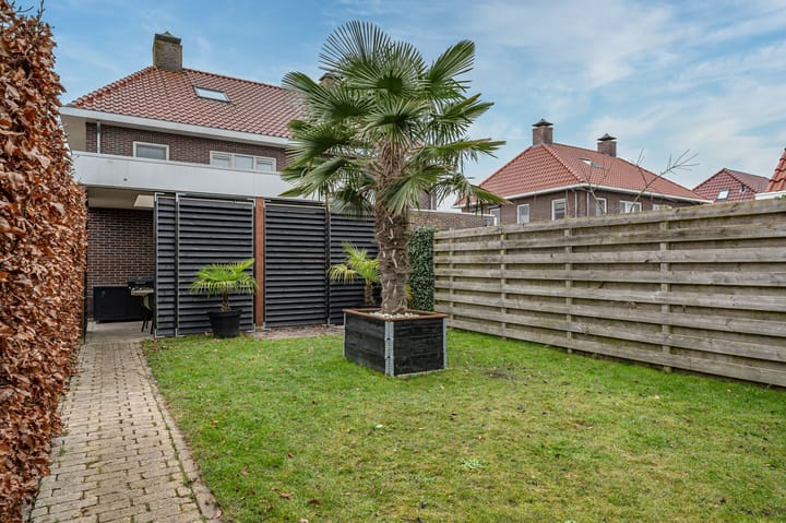 Foto 45 van Aronskelk 6