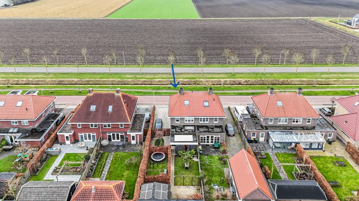 Foto 49 van Aronskelk 6