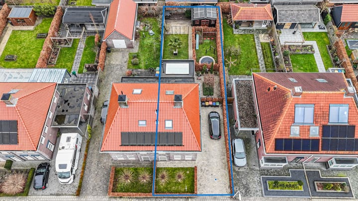 Foto 50 van Aronskelk 6