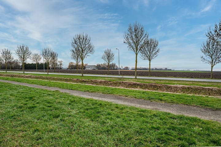 Foto 54 van Aronskelk 6