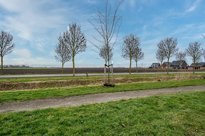 Foto 53 van Aronskelk 6