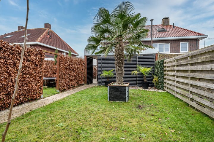 Foto 46 van Aronskelk 6