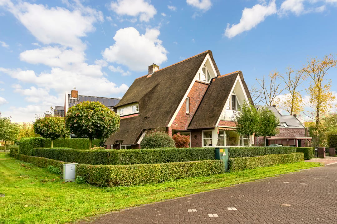 Photo 1 of Edmund Nicklaan 6