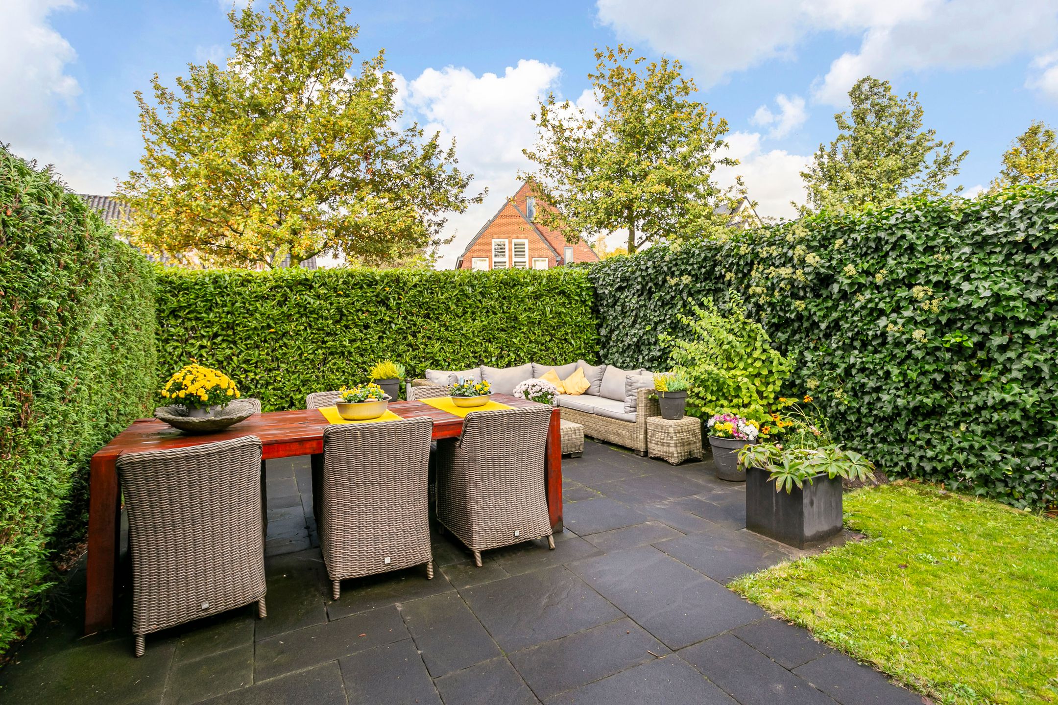 Photo 24 of Edmund Nicklaan 6