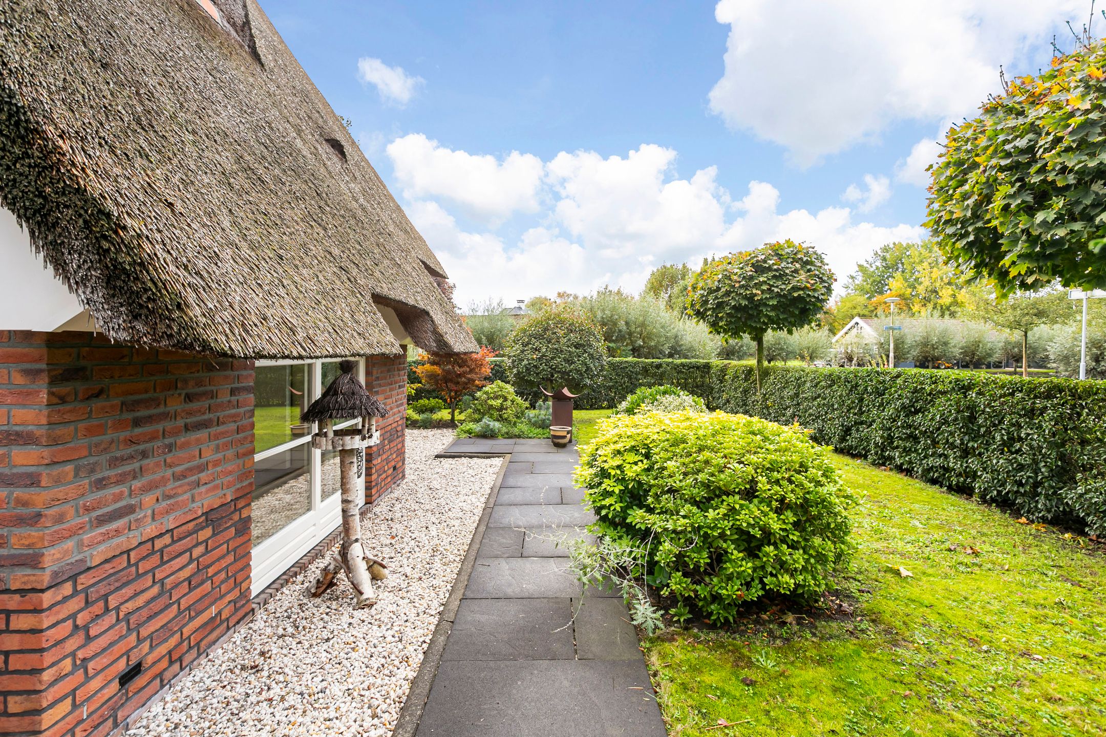 Photo 27 of Edmund Nicklaan 6