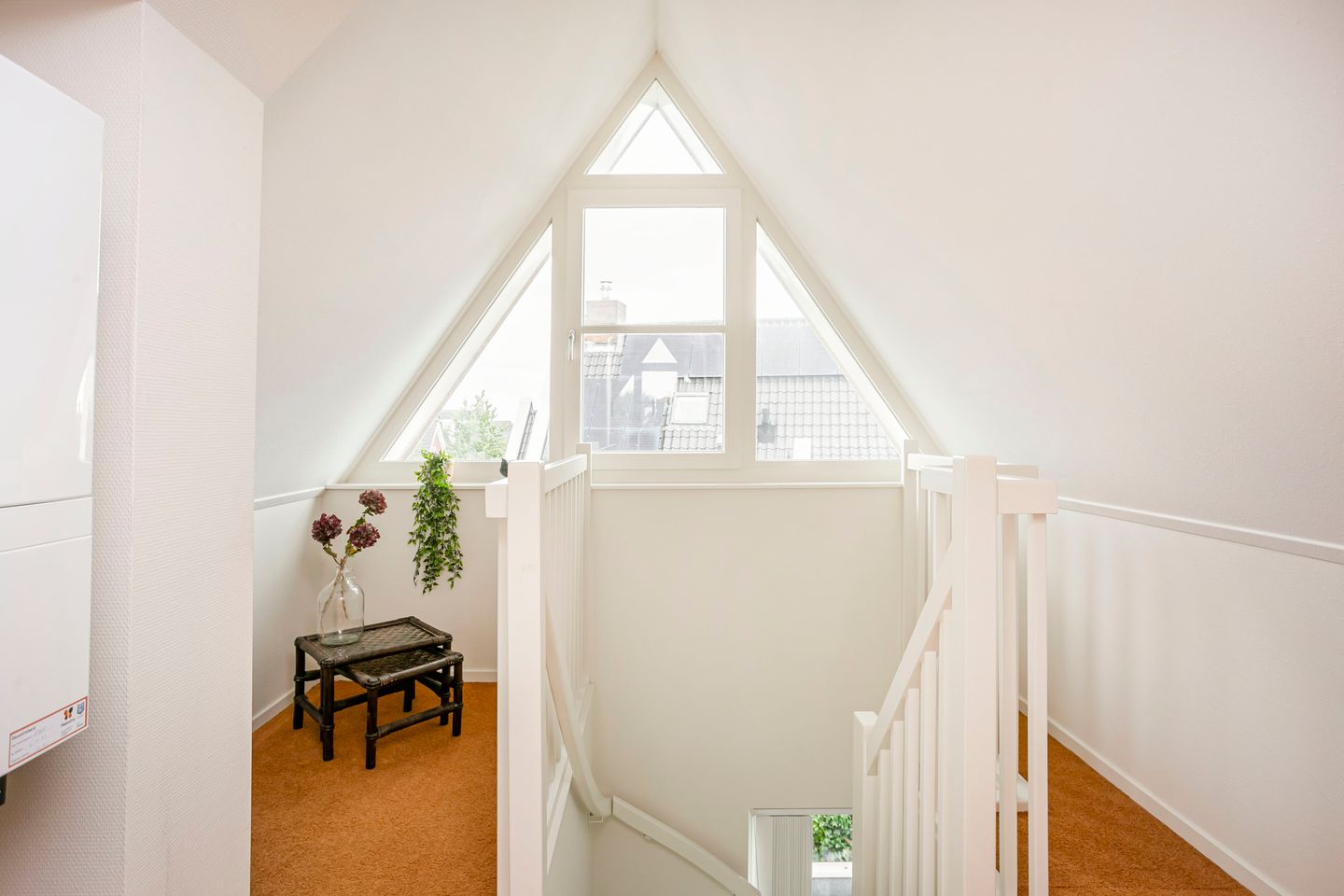 Photo 44 of Edmund Nicklaan 6