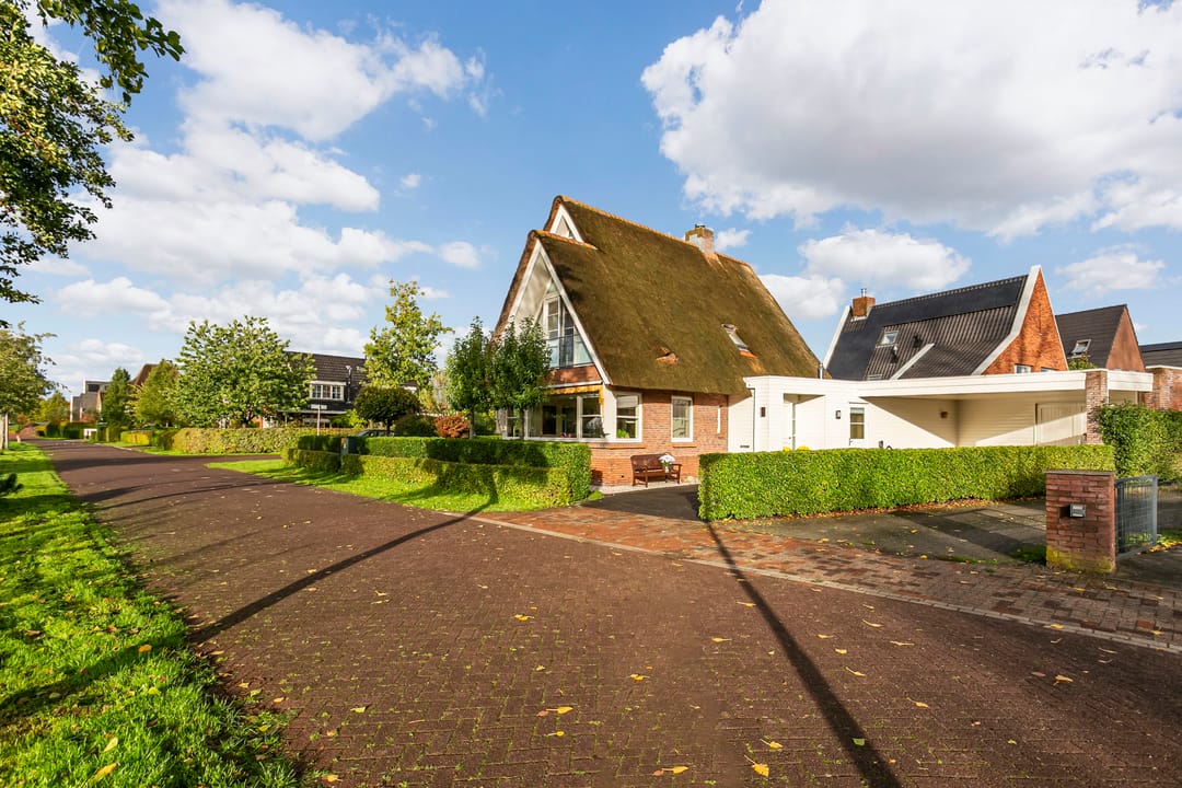 Photo 47 of Edmund Nicklaan 6