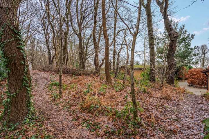 Photo 4 of Heetveld 1-R20