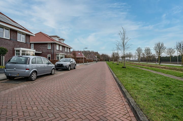 Foto 52 van Aronskelk 6