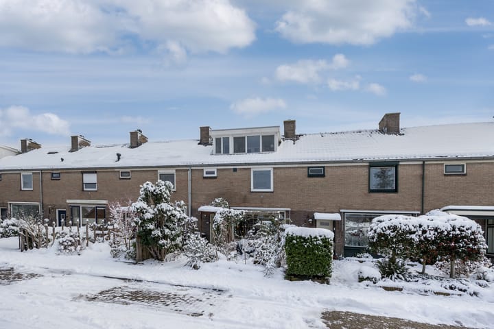 Foto 31 van Van Boetzelaerlaan 6