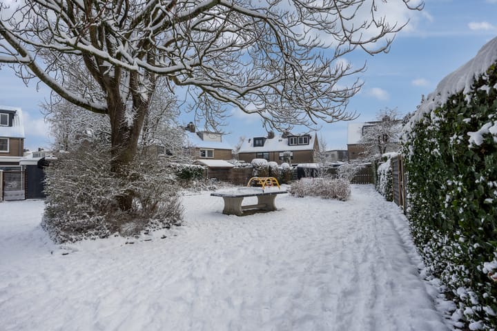 Foto 32 van Van Boetzelaerlaan 6