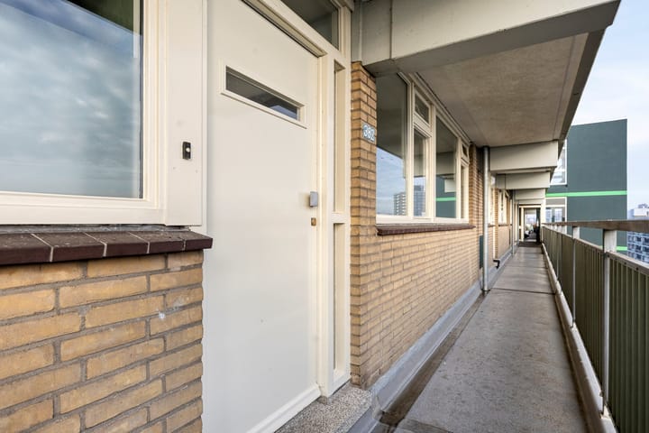 Foto 2 van Stadhoudersring 382