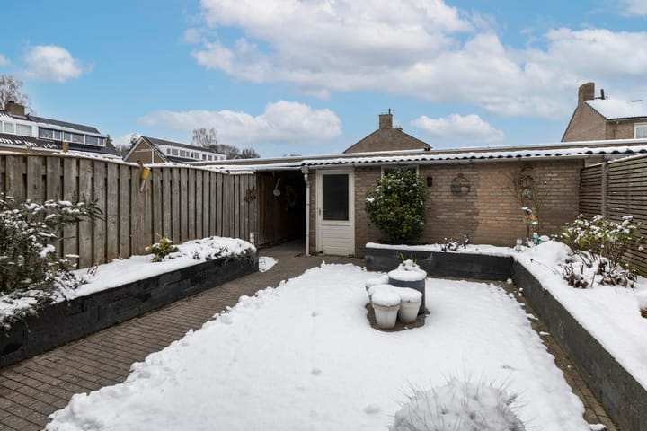 Foto 27 van Andromeda 5