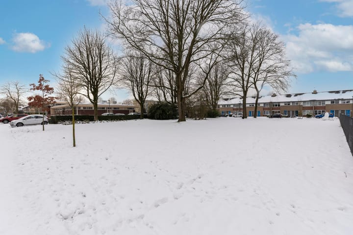 Foto 34 van Andromeda 5