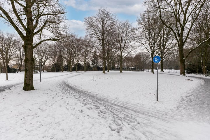 Foto 35 van Andromeda 5