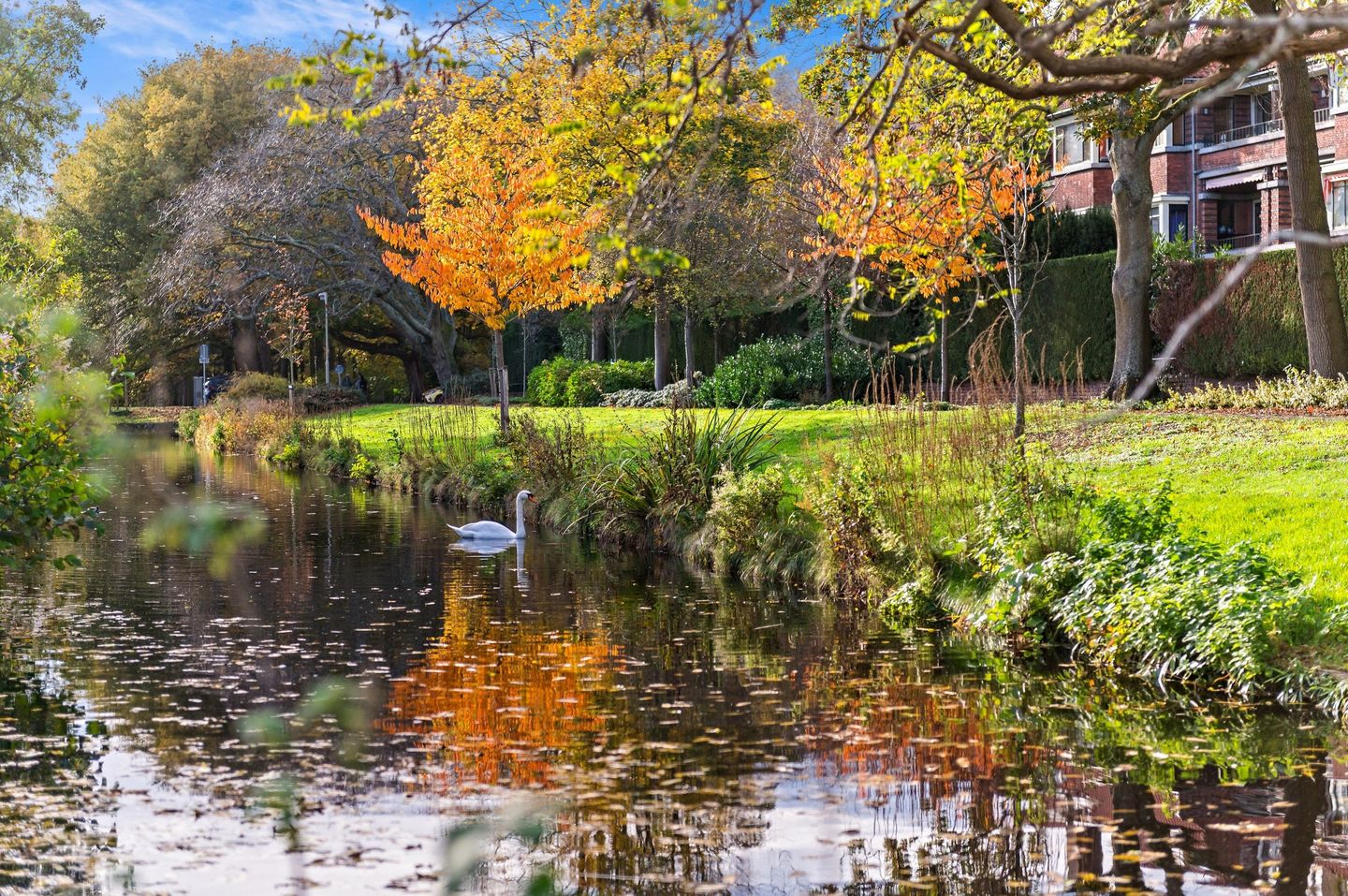 Foto 80 van Bavoylaan 11