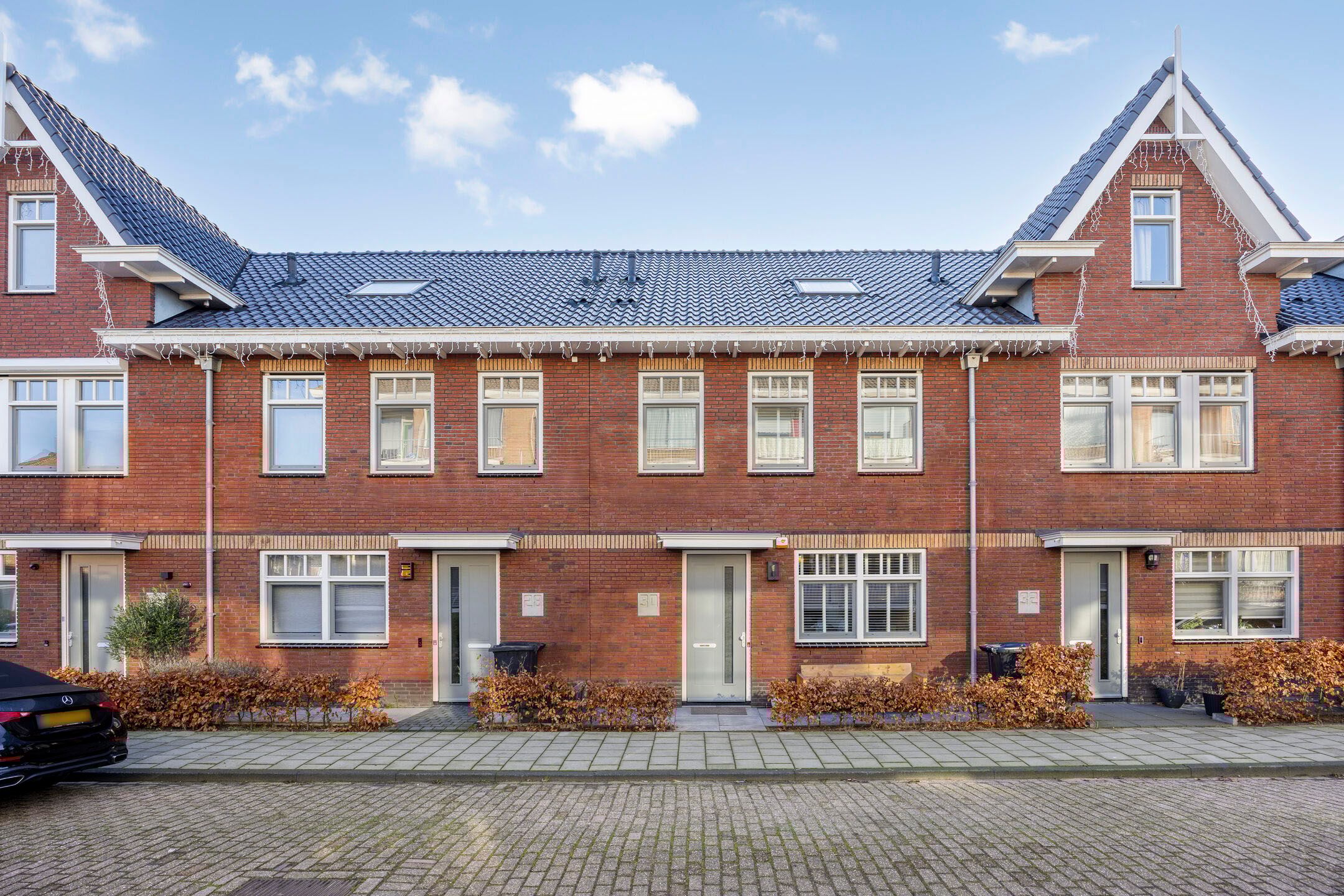 Blauwe wijngaardrank 30