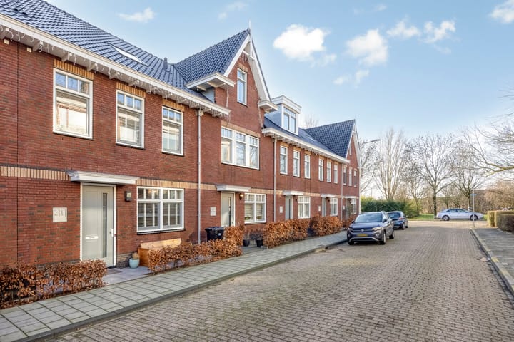 Photo 32 of Blauwe wijngaardrank 30